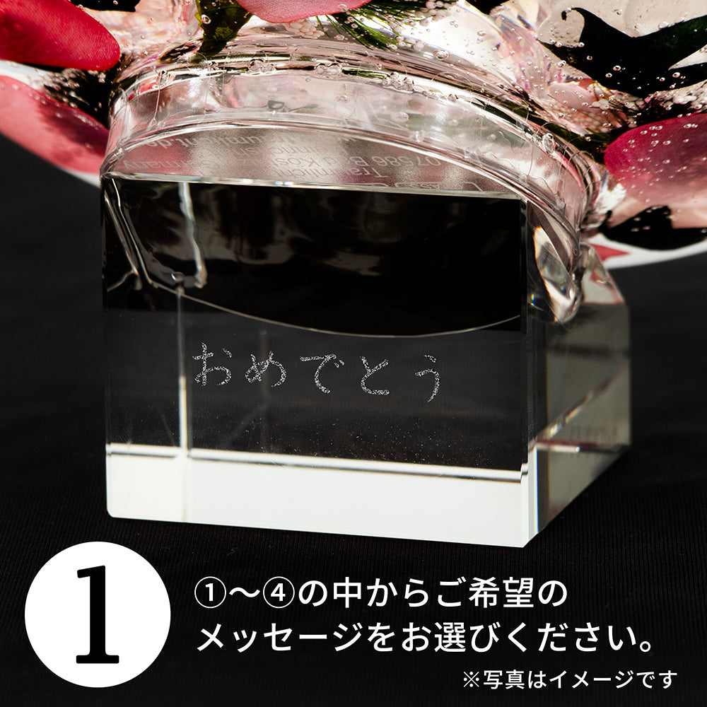 ドリームクロック　プレミアム / オーキッドダイアモンド