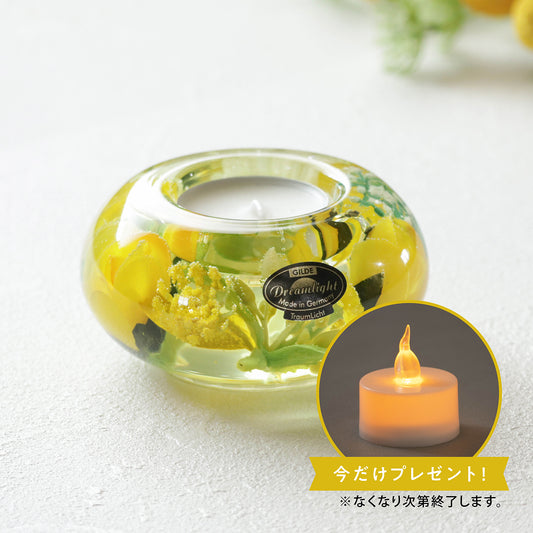 UFO(S)　キャンドルホルダー / スプリングフラワー